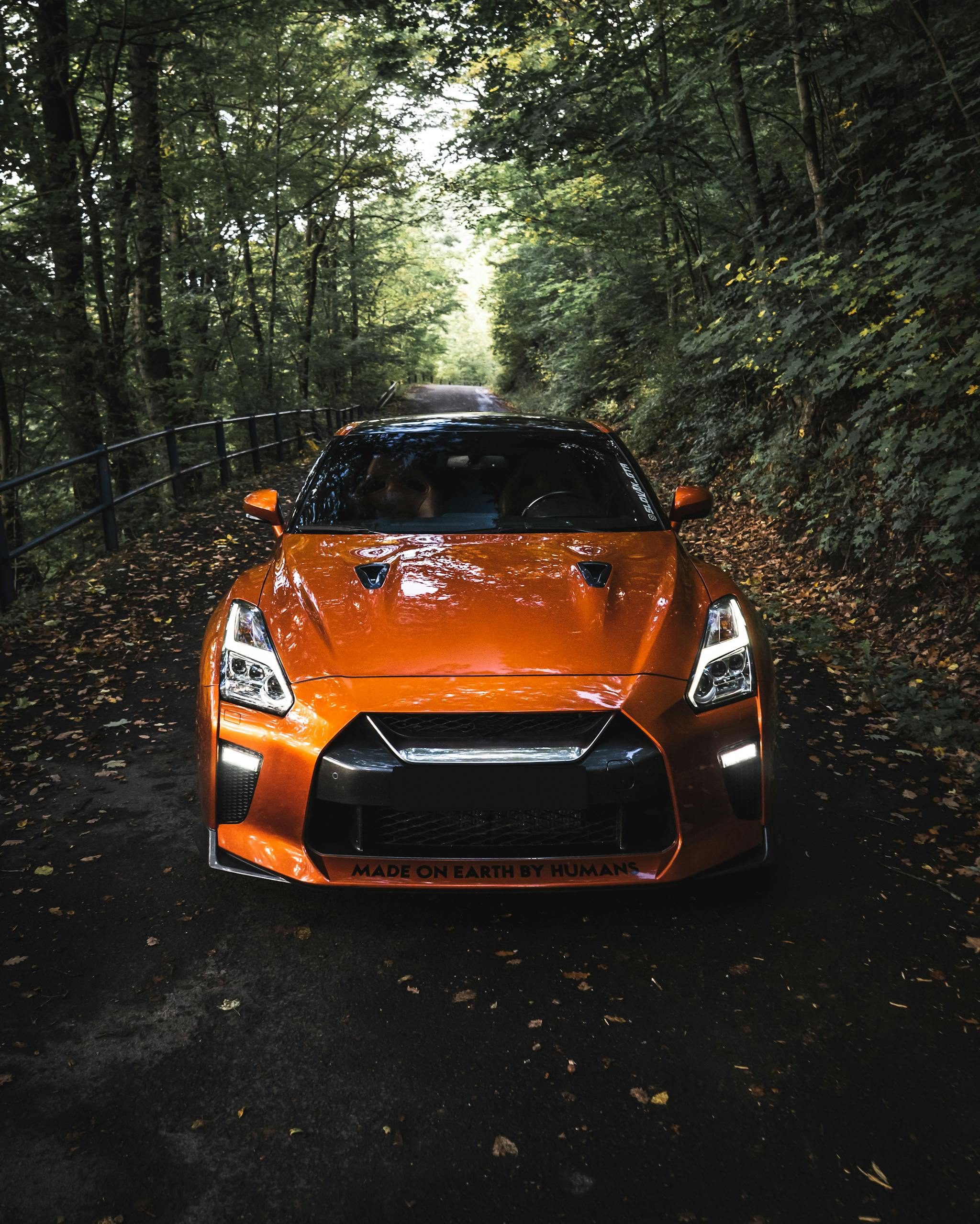 Modern sport automobile with shiny headlights and powerful bumper on asphalt roadway in lush forest